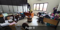 PUDIR II